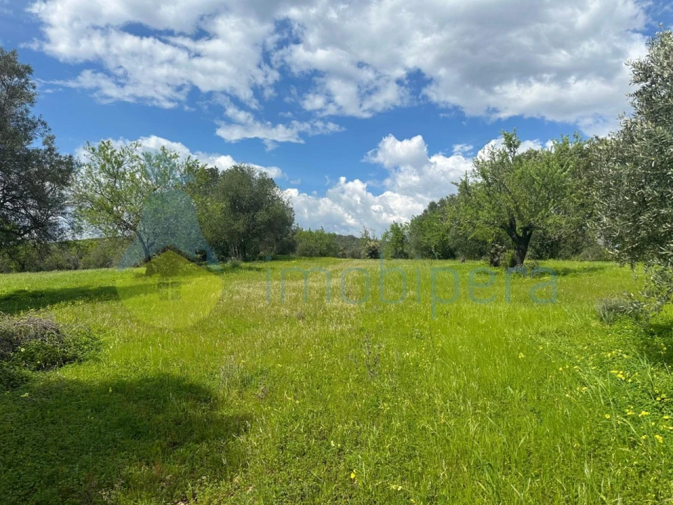 Terreno Agricola ou Rústico para Venda em Paderne Foto 4