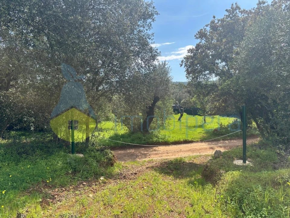 Terreno Agricola ou Rústico para Venda em Paderne Foto 5