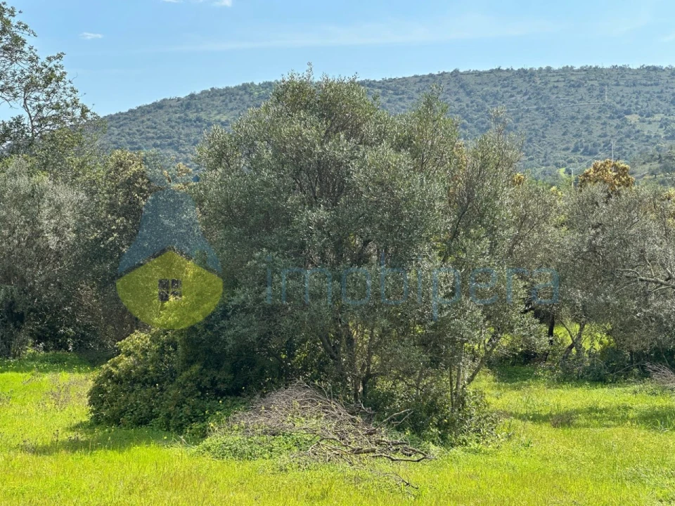Terreno Agricola ou Rústico para Venda em Paderne Foto 6