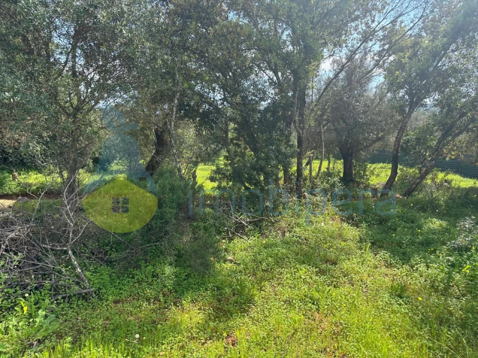 Terreno Agricola ou Rústico para Venda em Paderne Foto 8