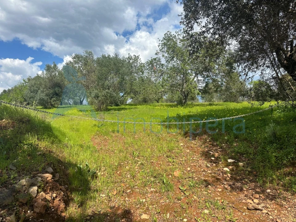 Terreno Agricola ou Rústico para Venda em Paderne Foto 9