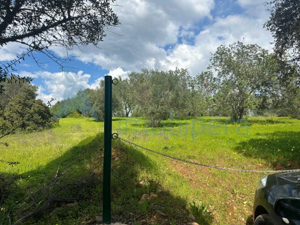 Terreno Agricola ou Rústico para Venda em Paderne Foto 10