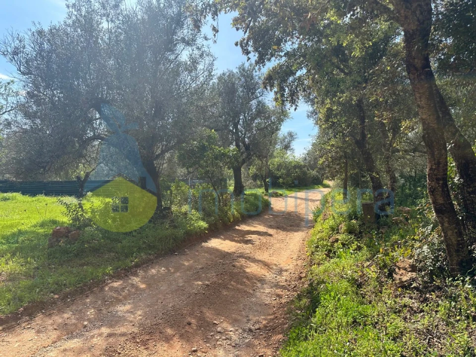 Terreno Agricola ou Rústico para Venda em Paderne Foto 12