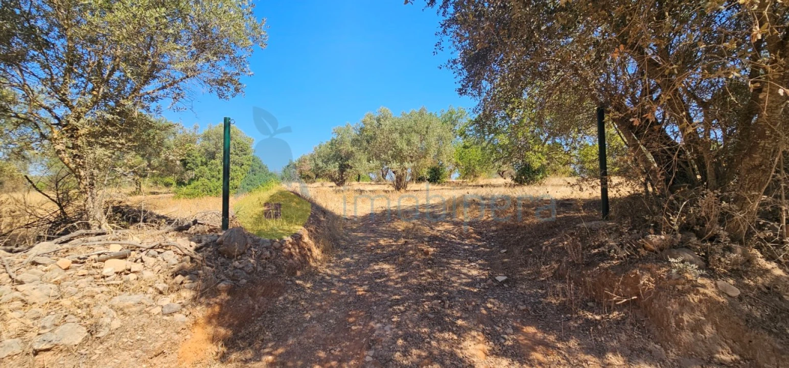 Terreno Agricola ou Rústico para Venda em Paderne Foto 13