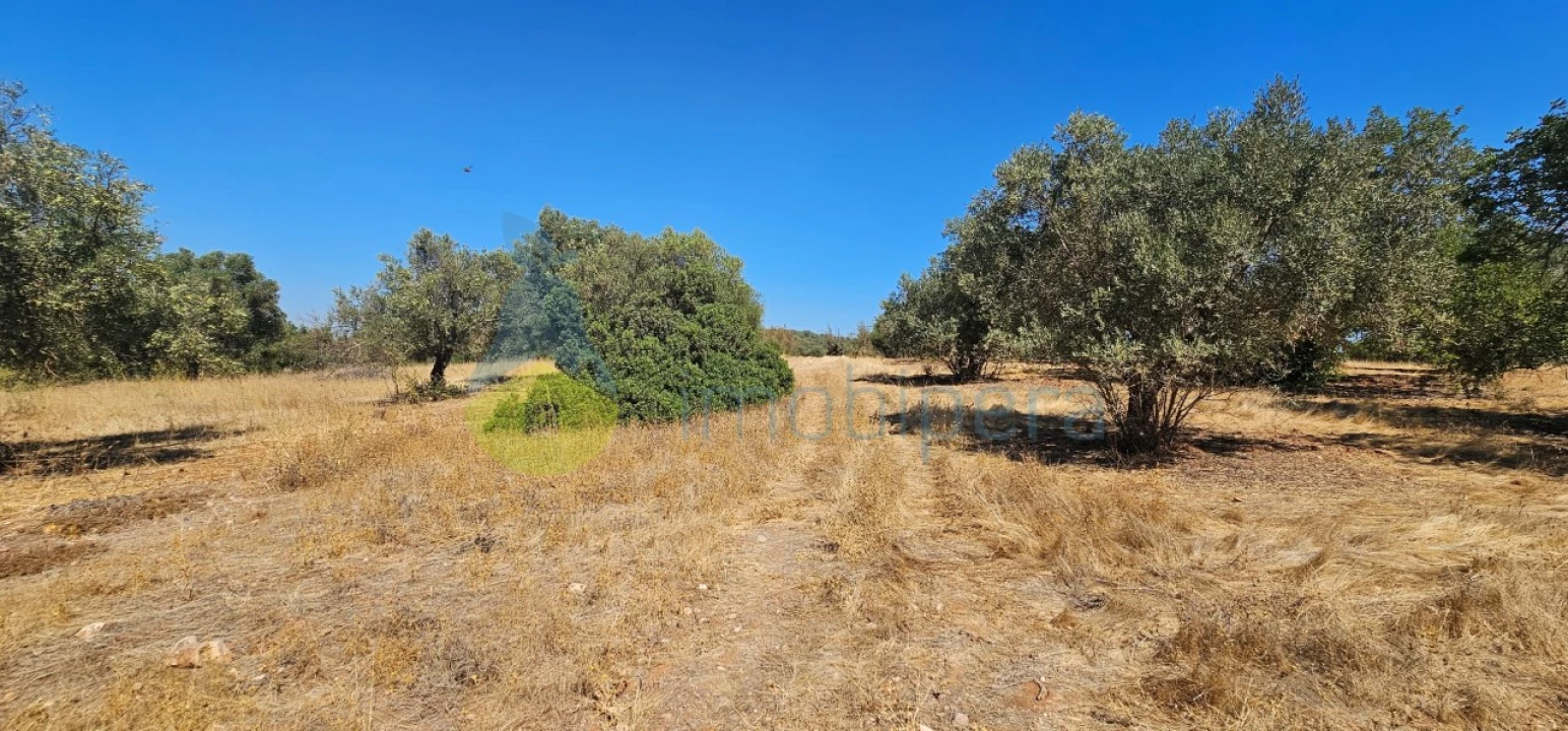 Terreno Agricola ou Rústico para Venda em Paderne Foto 14