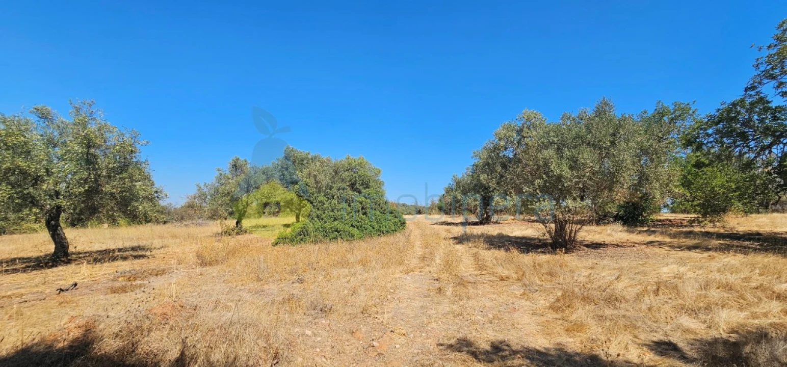 Terreno Agricola ou Rústico para Venda em Paderne Foto 15
