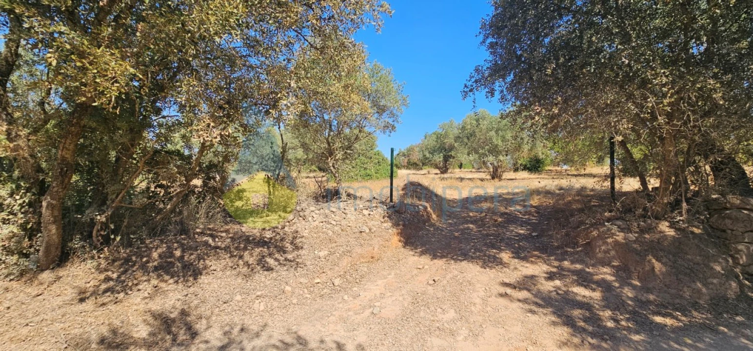 Terreno Agricola ou Rústico para Venda em Paderne Foto 16