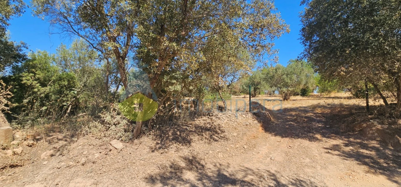 Terreno Agricola ou Rústico para Venda em Paderne Foto 17