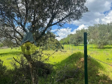 Terreno Agricola ou Rústico para Venda em Paderne