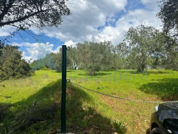 Terreno Agricola ou Rústico para Venda em Paderne
