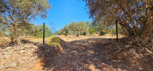 Terreno Agricola ou Rústico para Venda em Paderne