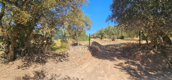 Terreno Agricola ou Rústico para Venda em Paderne