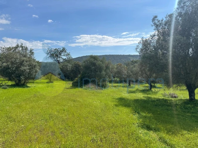 Terreno Agricola ou Rústico para Venda em Paderne Foto 2