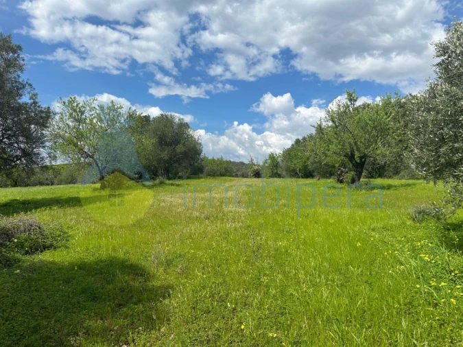 Terreno Agricola ou Rústico para Venda em Paderne Foto 4