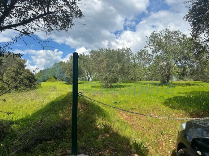 Terreno Agricola ou Rústico para Venda em Paderne Foto 10