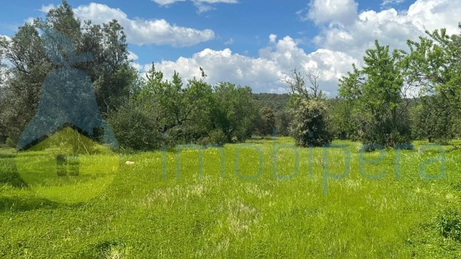 Terreno Agricola ou Rústico para Venda em Paderne