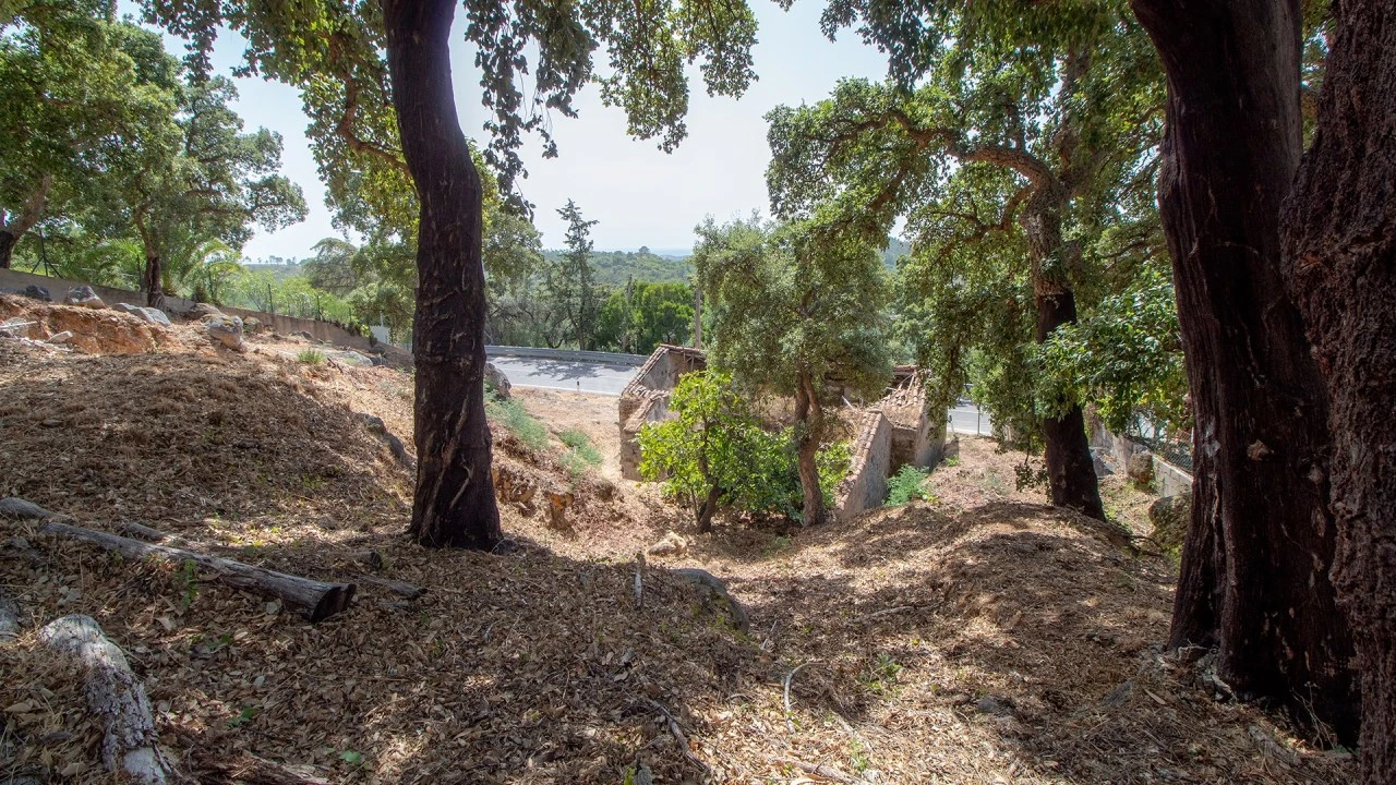 Quinta T3 para Venda em Monchique Foto 6