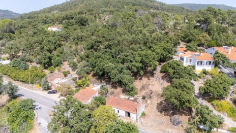 Quinta T3 para Venda em Monchique