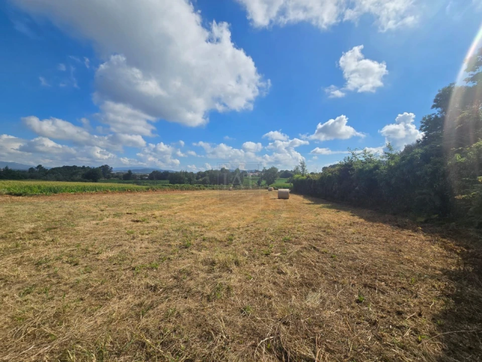 Quinta para Venda em Forjães Foto 5