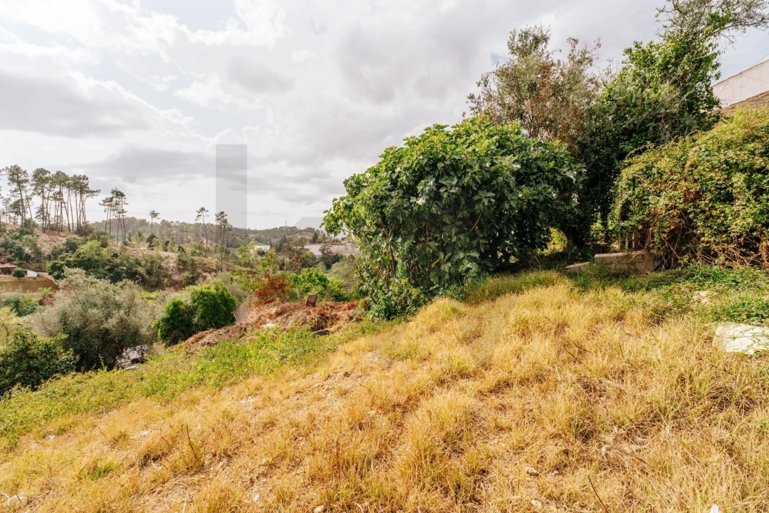 Moradia T2 para Venda em São Martinho de Árvore e Lamarosa Foto 52