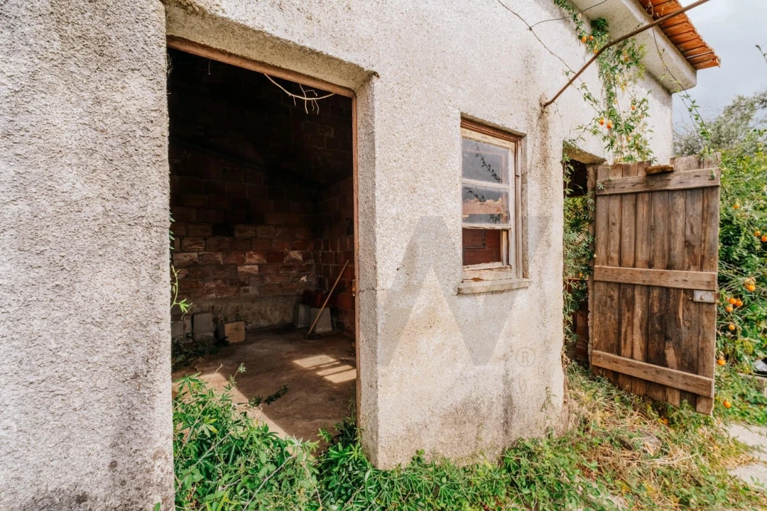 Moradia T2 para Venda em São Martinho de Árvore e Lamarosa Foto 40