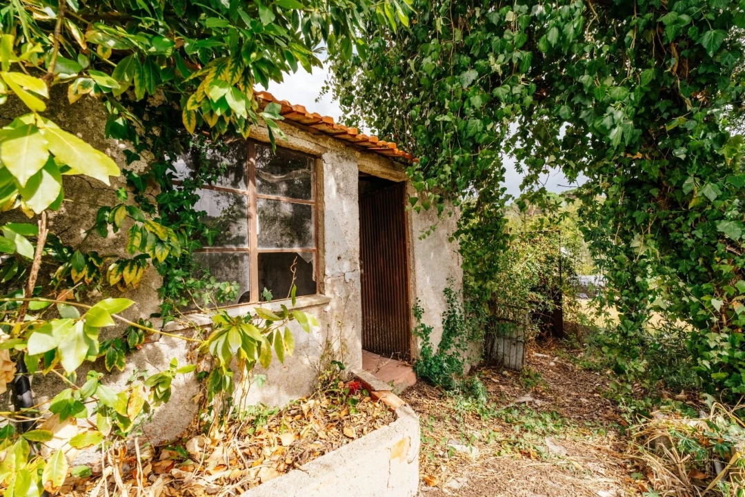 Moradia T2 para Venda em São Martinho de Árvore e Lamarosa Foto 50