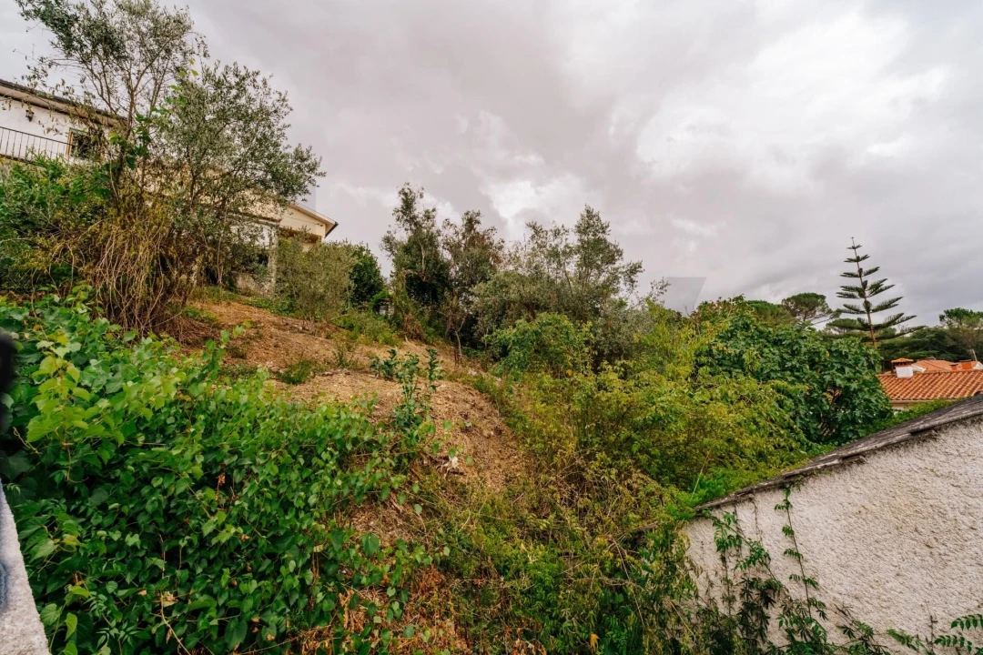 Moradia T2 para Venda em São Martinho de Árvore e Lamarosa Foto 30