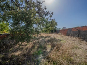 Moradia T3 para Venda em Maceira