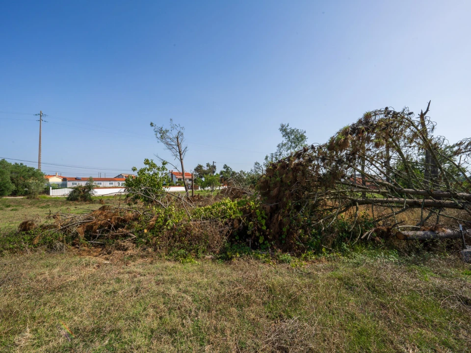 Terreno para Venda em Maceira Foto 8