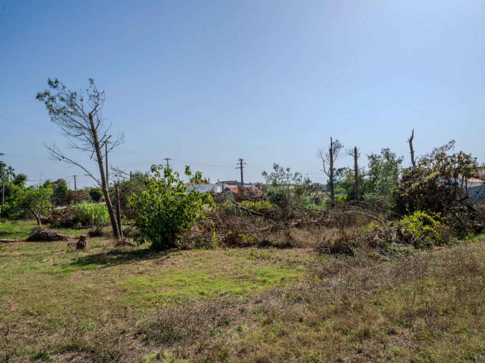 Terreno para Venda em Maceira Foto 5