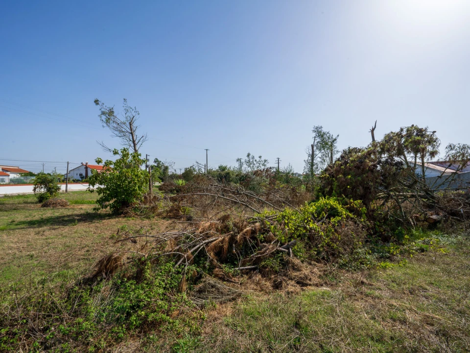 Terreno para Venda em Maceira Foto 6