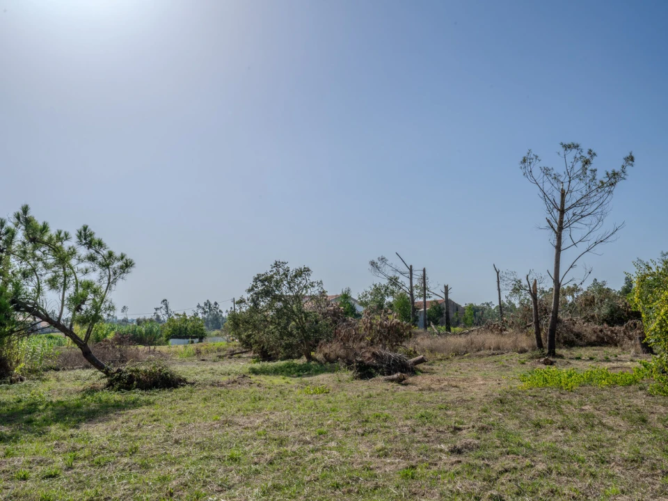 Terreno para Venda em Maceira Foto 1