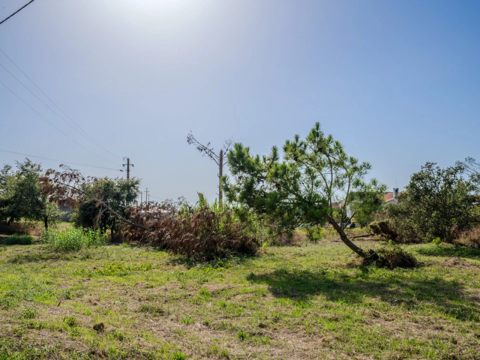 Terreno para Venda em Maceira Foto 2