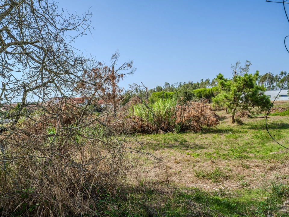 Terreno para Venda em Maceira Foto 7