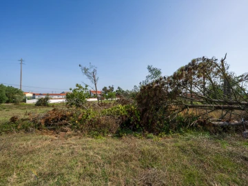 Terreno para Venda em Maceira