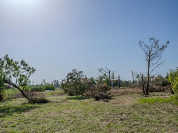 Terreno para Venda em Maceira