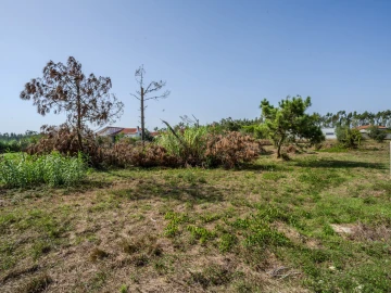 Terreno para Venda em Maceira