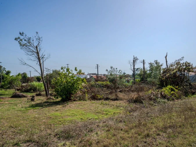 Terreno para Venda em Maceira Foto 5
