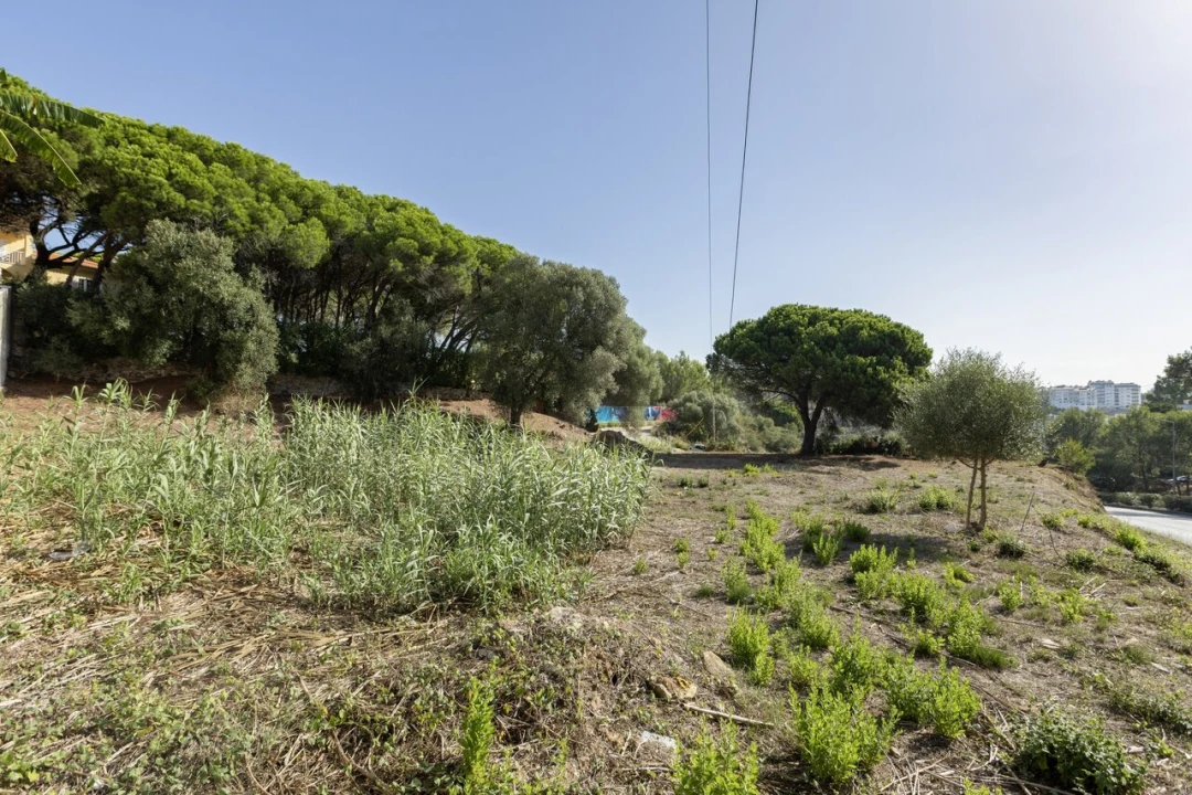 Terreno para Venda em Cascais e Estoril Foto 1