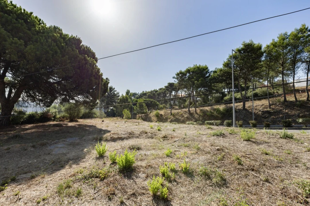 Terreno para Venda em Cascais e Estoril Foto 12