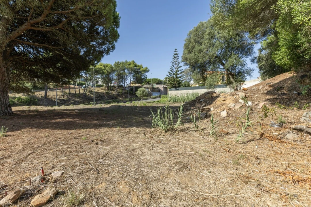 Terreno para Venda em Cascais e Estoril Foto 13