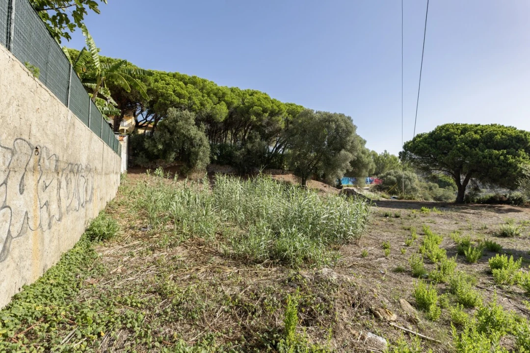 Terreno para Venda em Cascais e Estoril Foto 35