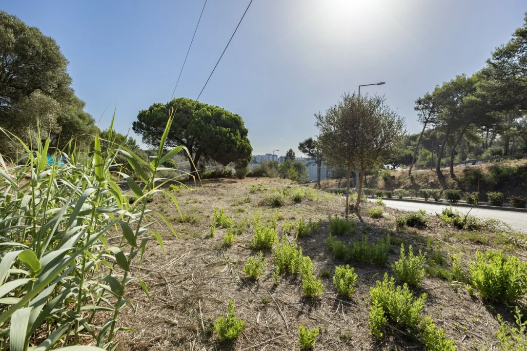 Terreno para Venda em Cascais e Estoril Foto 38