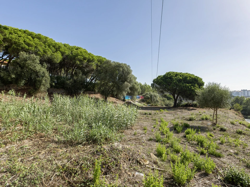 Terreno para Venda em Cascais e Estoril Foto 2