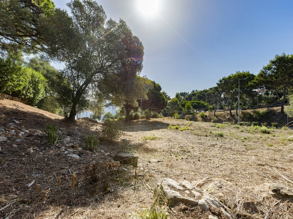 Terreno para Venda em Cascais e Estoril Foto 6