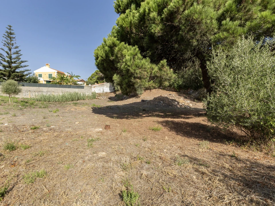 Terreno para Venda em Cascais e Estoril Foto 14