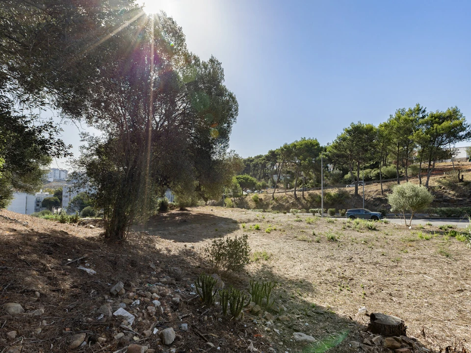 Terreno para Venda em Cascais e Estoril Foto 22