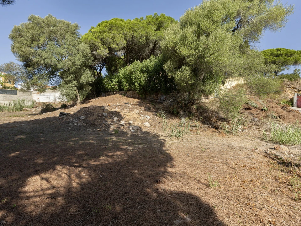 Terreno para Venda em Cascais e Estoril Foto 39