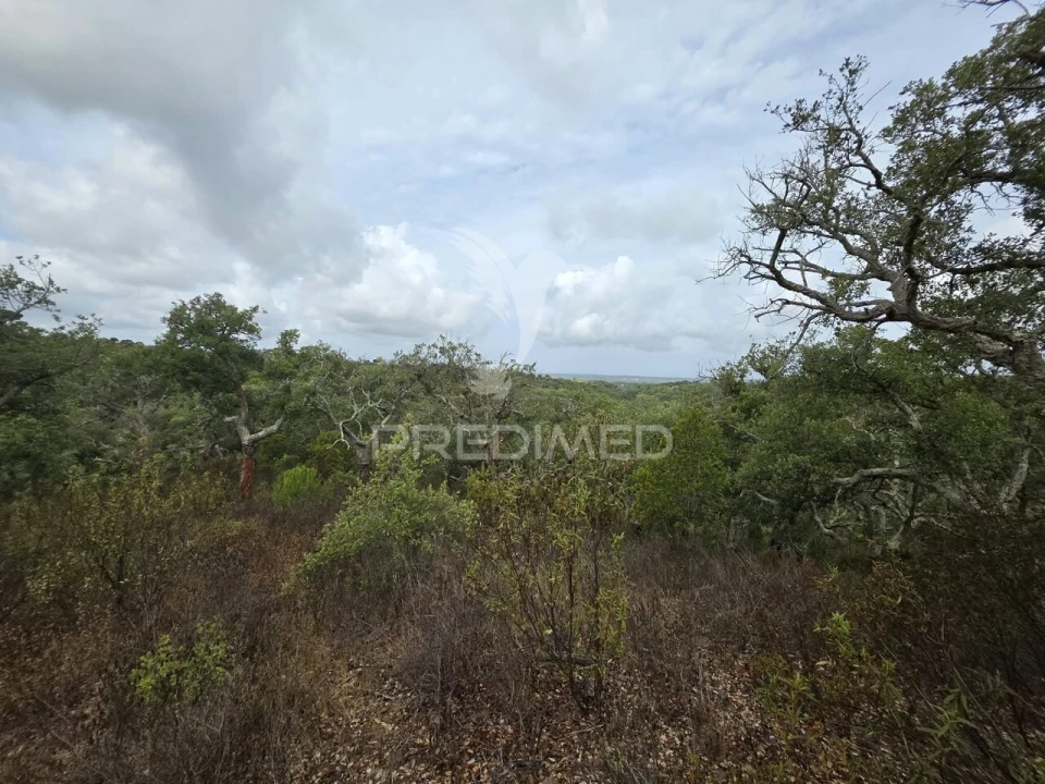 Terreno para Venda em Melides Foto 18