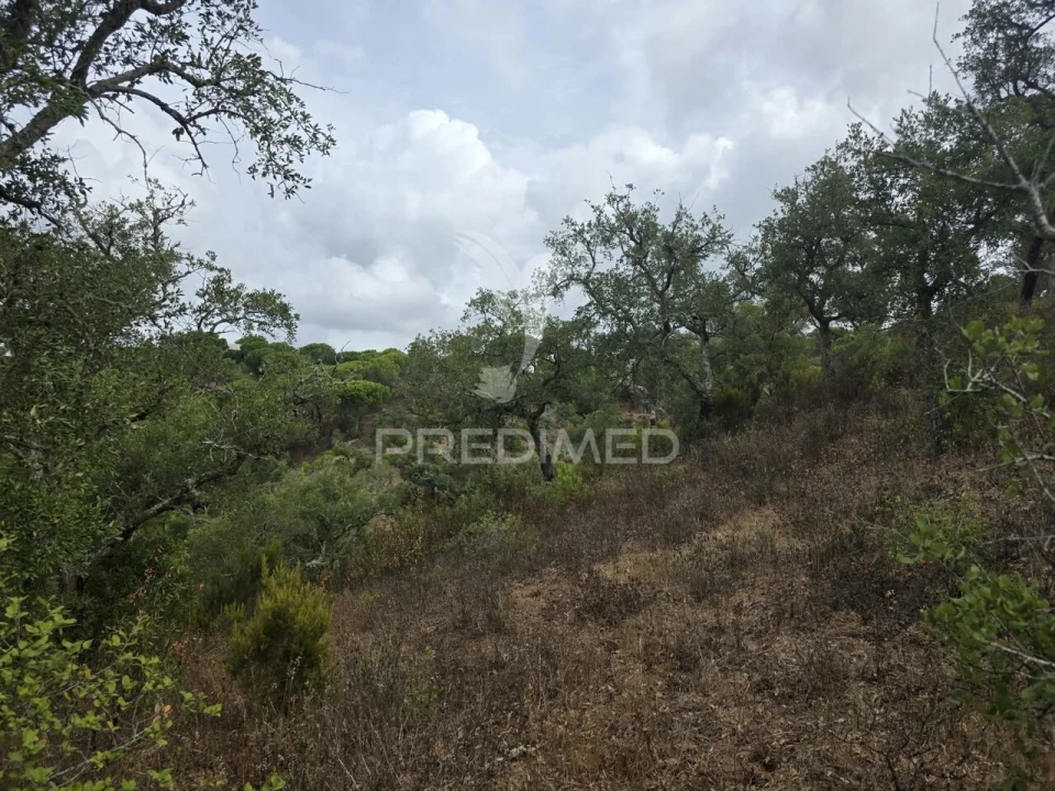 Terreno para Venda em Melides Foto 6